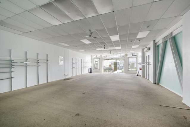 128 Dalton Street Napier South_2