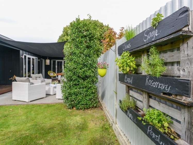 504a Fitzroy Avenue Hastings_27