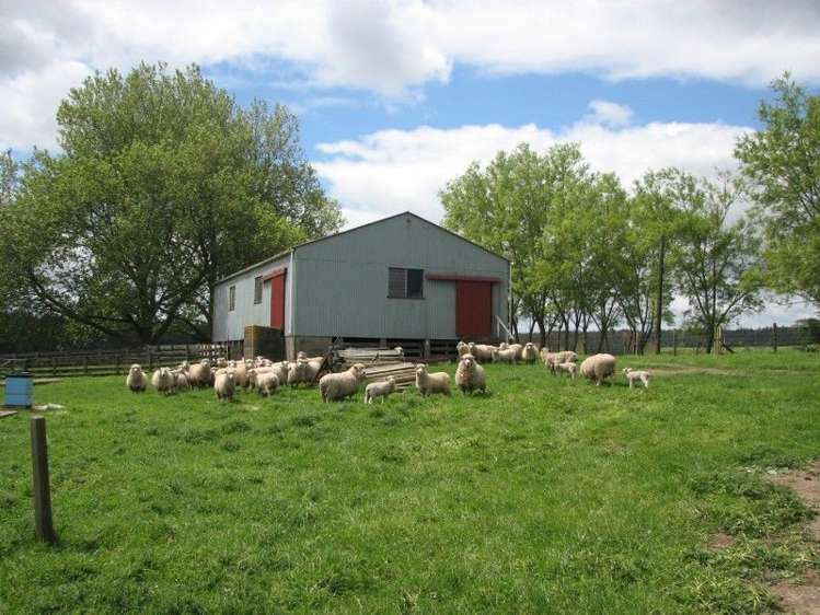 53 Worth Road Putaruru_20