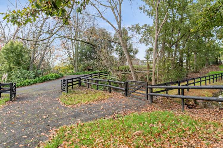 Woodlyn Drive Karaka_10