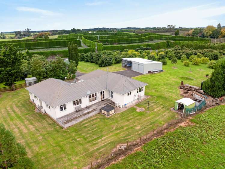 536 Maniatutu Road Pongakawa_15