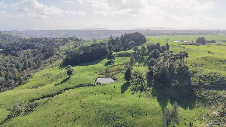 194 Toia Road Okaihau_20