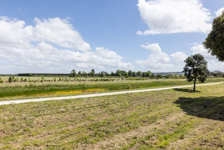 47 Henley Crescent Pirimai_21