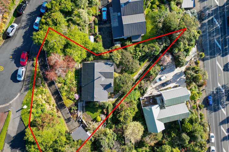 112 Forbury Road Saint Clair_32