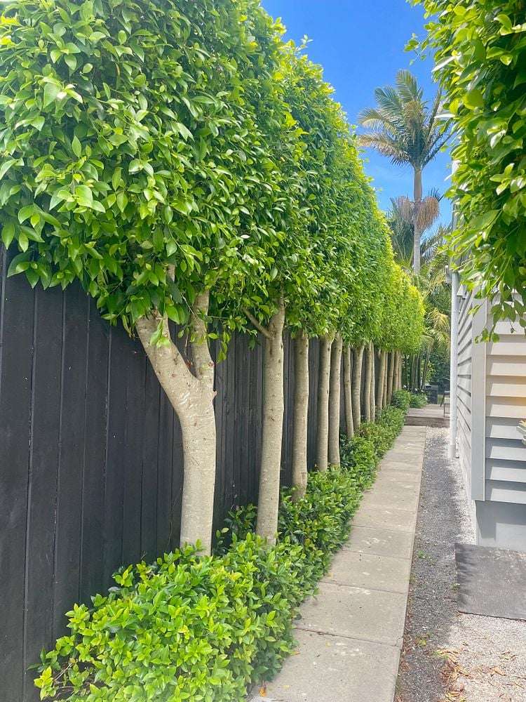 65a Wainui Avenue Point Chevalier_15