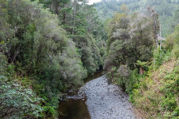 Zero Akatarawa Road Brown Owl_3