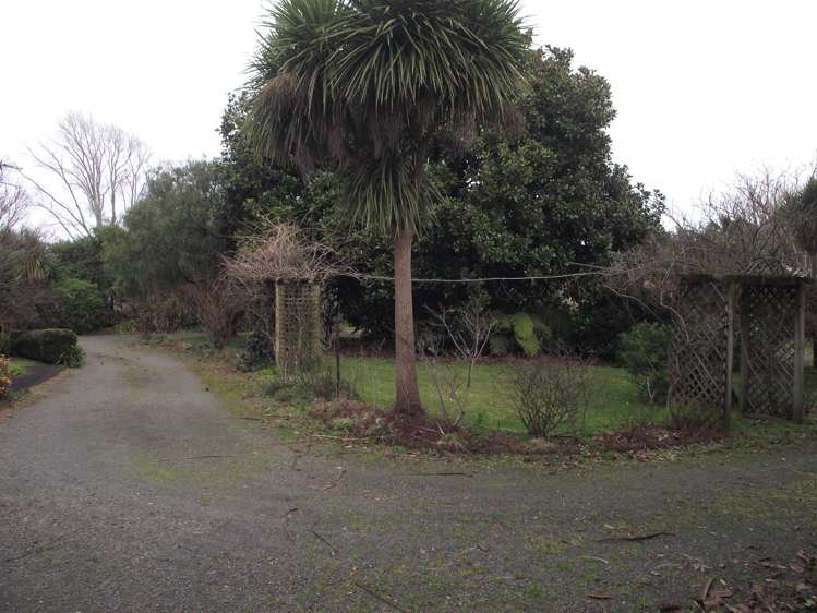 50 Adams Street Waihi_5