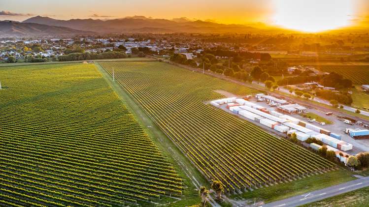 14 Lower Wairau Road Grovetown_7