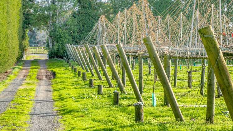 9765 State Highway 2 Waihi_10