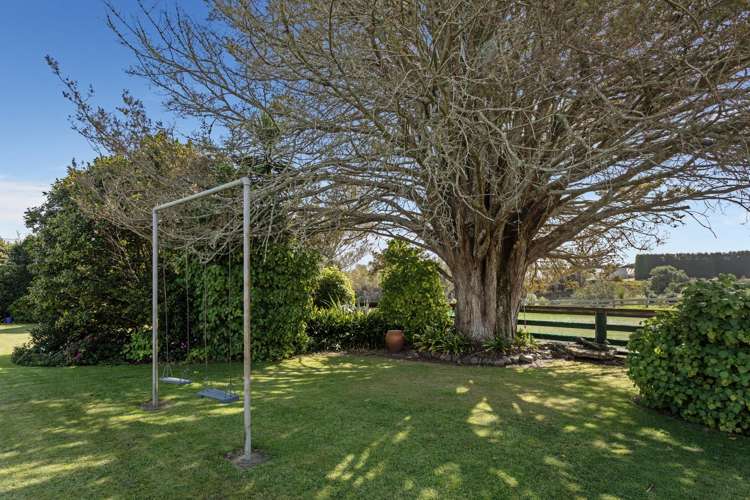 96B Tablelands Road Tirohanga_16