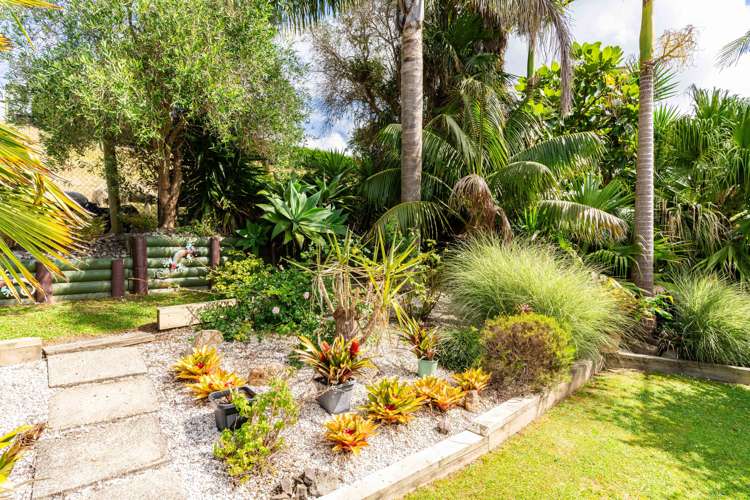 16 Cobham Avenue Dargaville_15