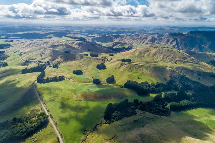Mangleton Road Central Hawkes Bay Country_0