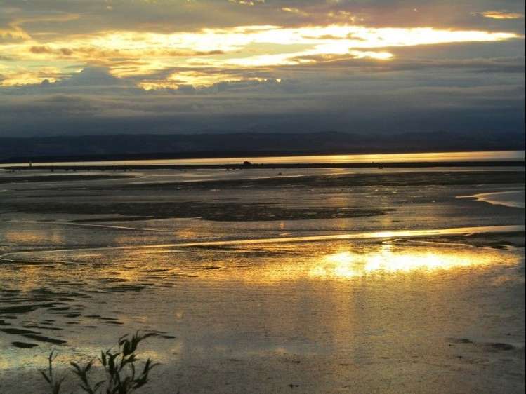 652 Atawhai Crescent Atawhai_21