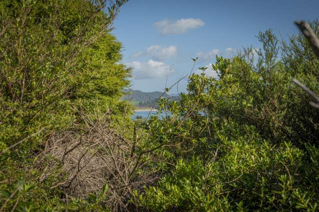 42 Radar Road Hot Water Beach_1