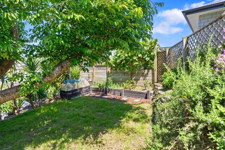 46a Greerton Road Gate Pa_16