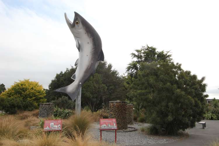 112 Bowen Street Rakaia_6