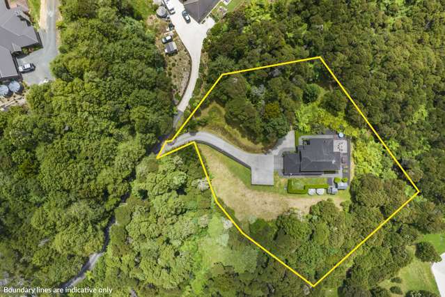 60 Pinnacle Hill Road Mangatawhiri_1