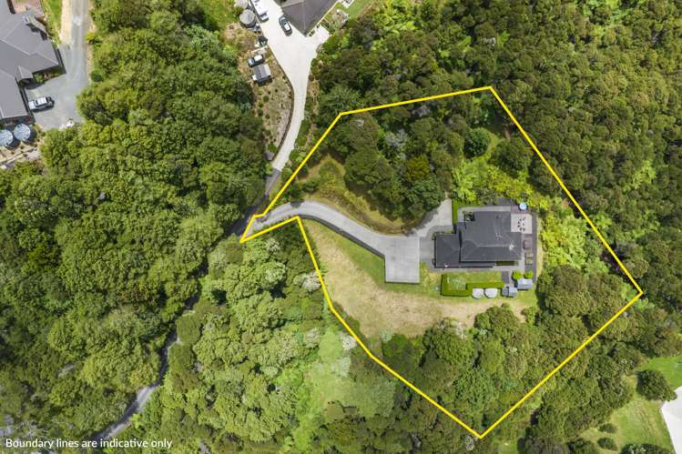 60 Pinnacle Hill Road Mangatawhiri_1