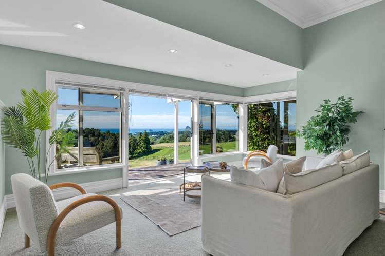 568 South Road Omata_6