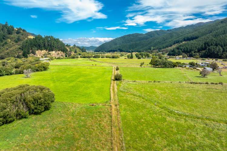 State Highway 1 Koromiko_13