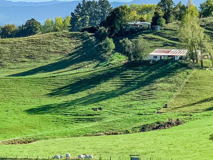 114 Aorangi Road Paeroa_5
