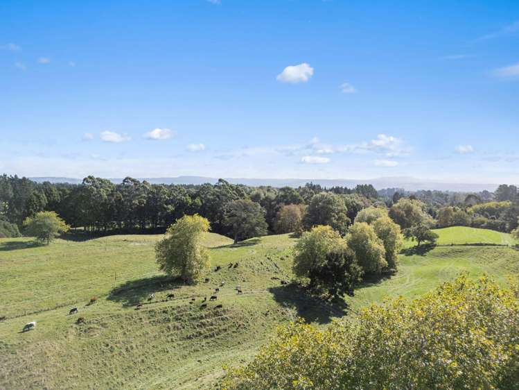 288 Oropi Gorge Road Oropi_5