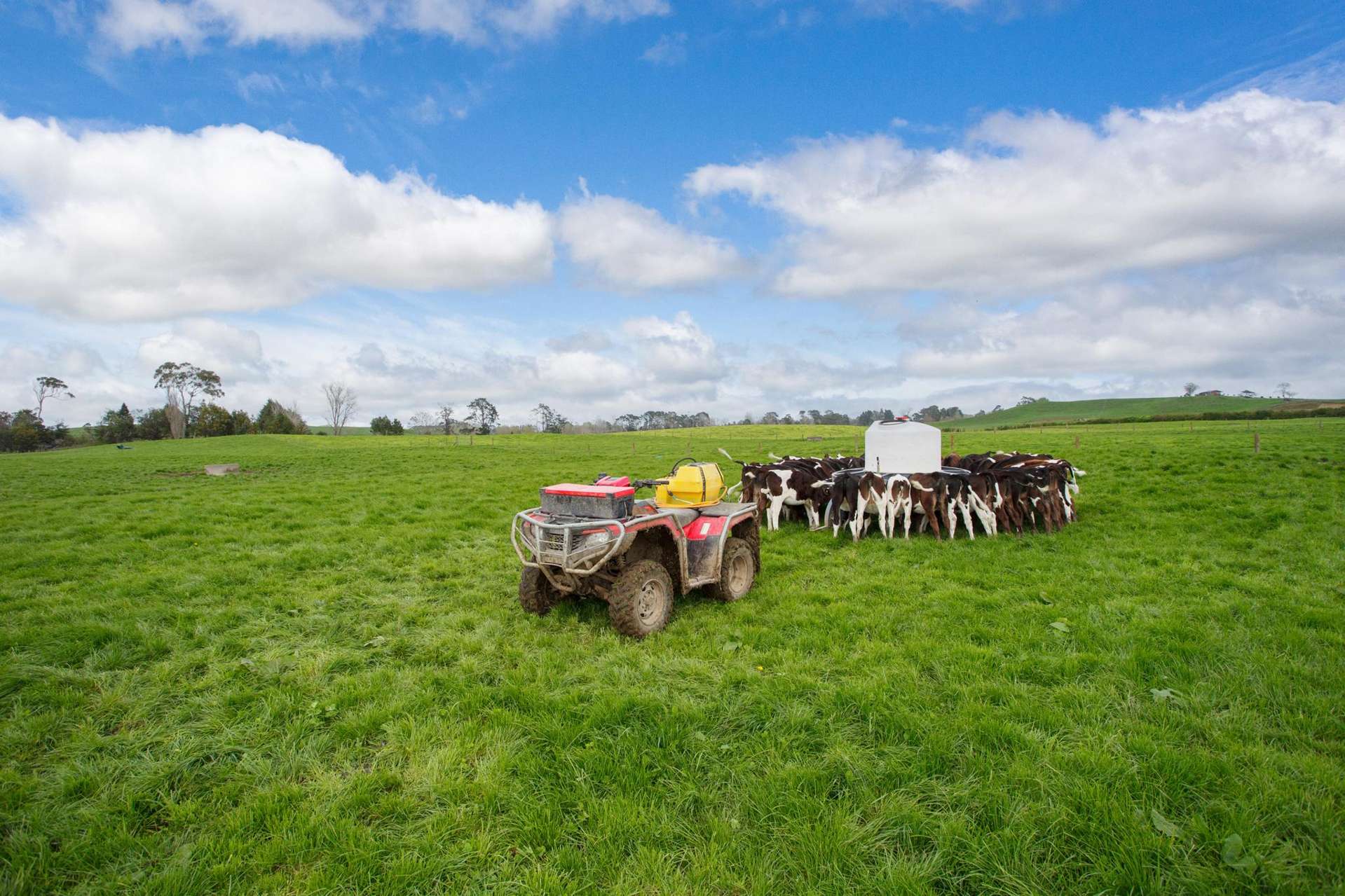 128 Rapurapu Road, Te Poi Matamata_0