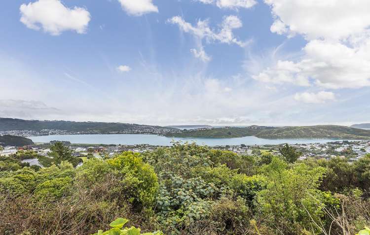 128 Conclusion Street Ascot Park_15