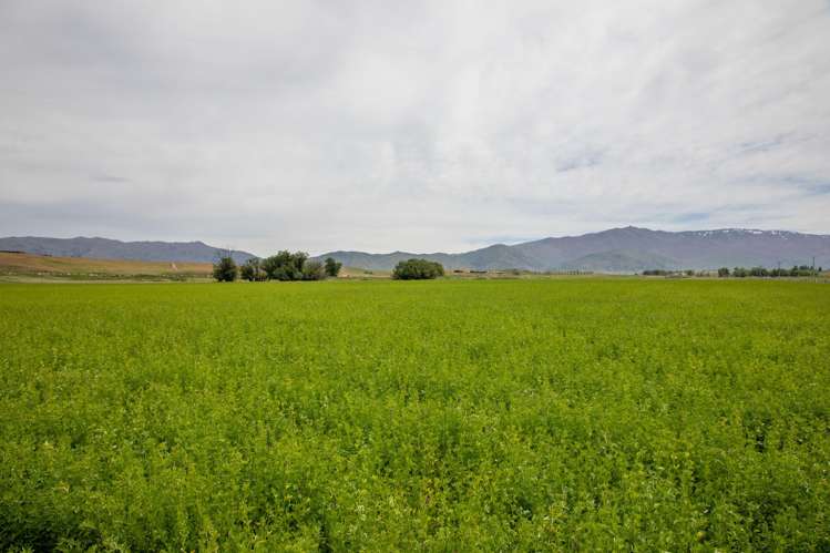 57 Golden Road Alexandra_36