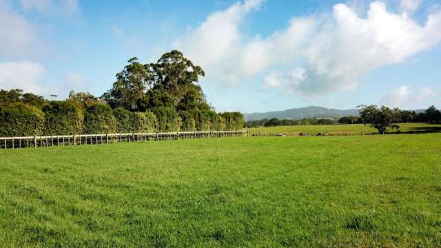 41 Rosythe Road Waipu_2