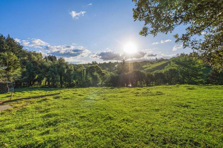 325A Esdaile Road Whakamarama_17