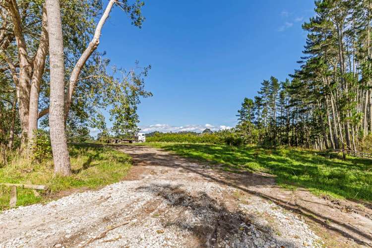 631d Dairy Flat Highway Dairy Flat_9