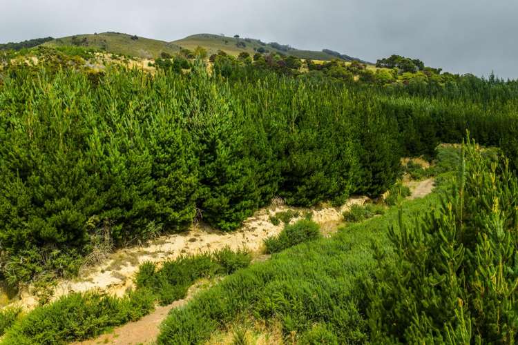 226 Middle Road Pigeon Bay_18