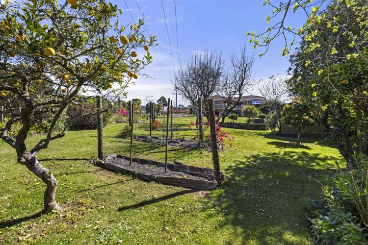 6 Upper Wainui Road Raglan_34