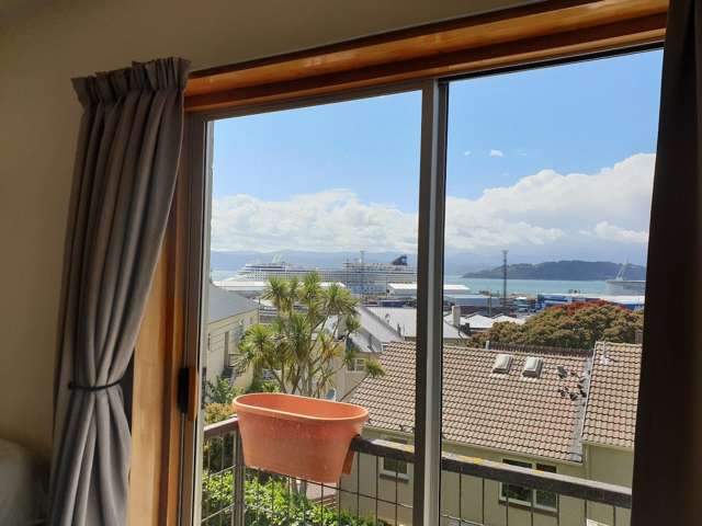 GA/1 Grant Road Thorndon_2