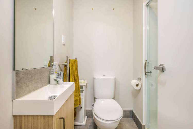 33 Joseph Street Flat Bush_6