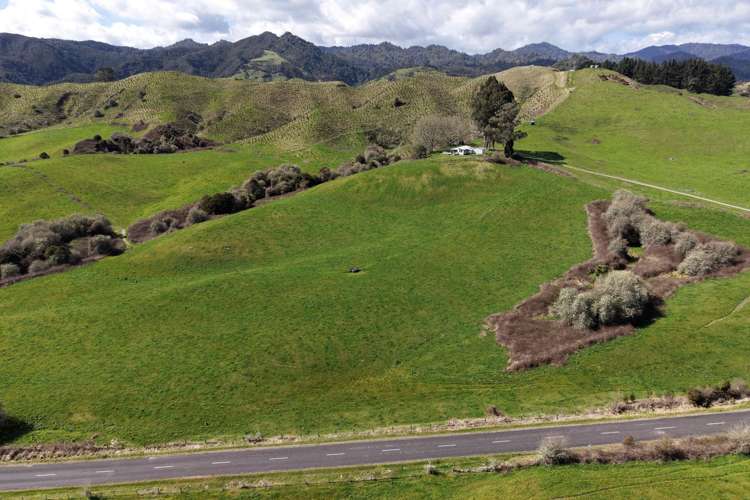 Lot 3/283 Minginui Road Galatea_2