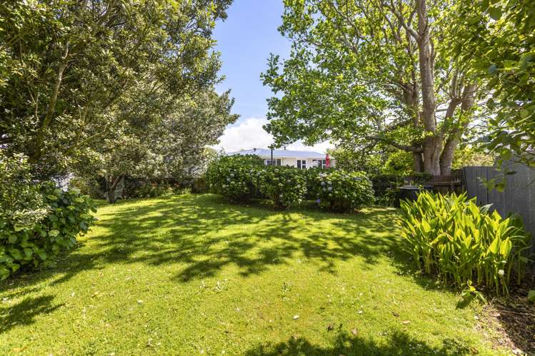 234A Omata Road Spotswood_7