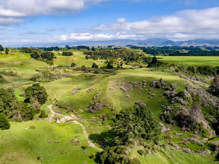 200 Garfield Road Norsewood_18