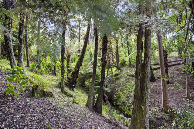 7 Pohutukawa Road Whenuapai_2