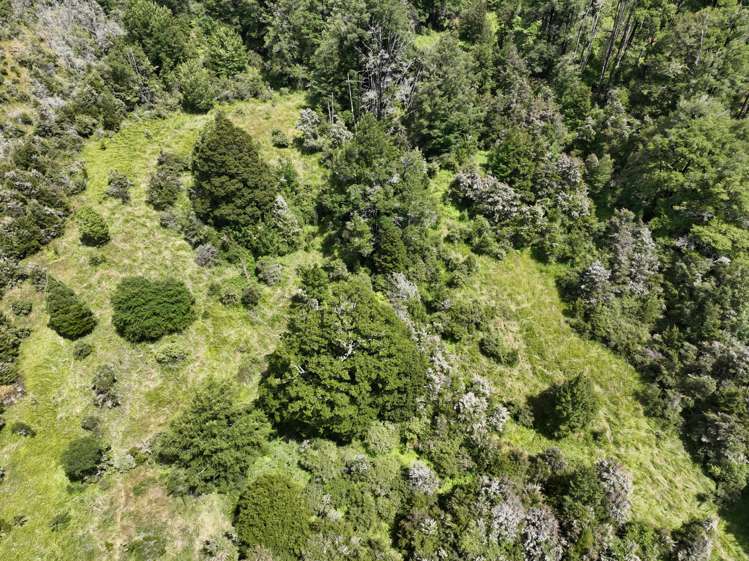 Tutaki Road South Murchison_9