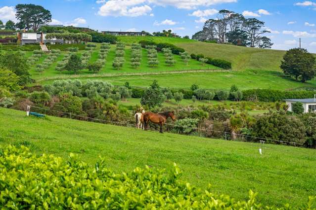 23 Tamahunga Drive Matakana_2