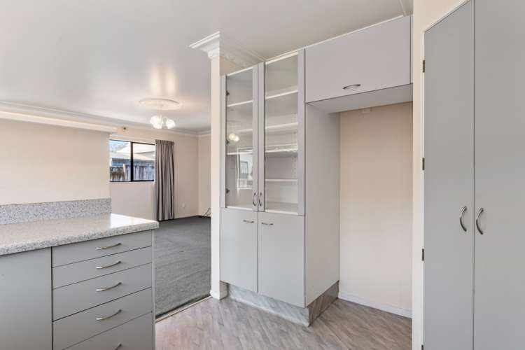 8b Norris Street Tauranga Central_7