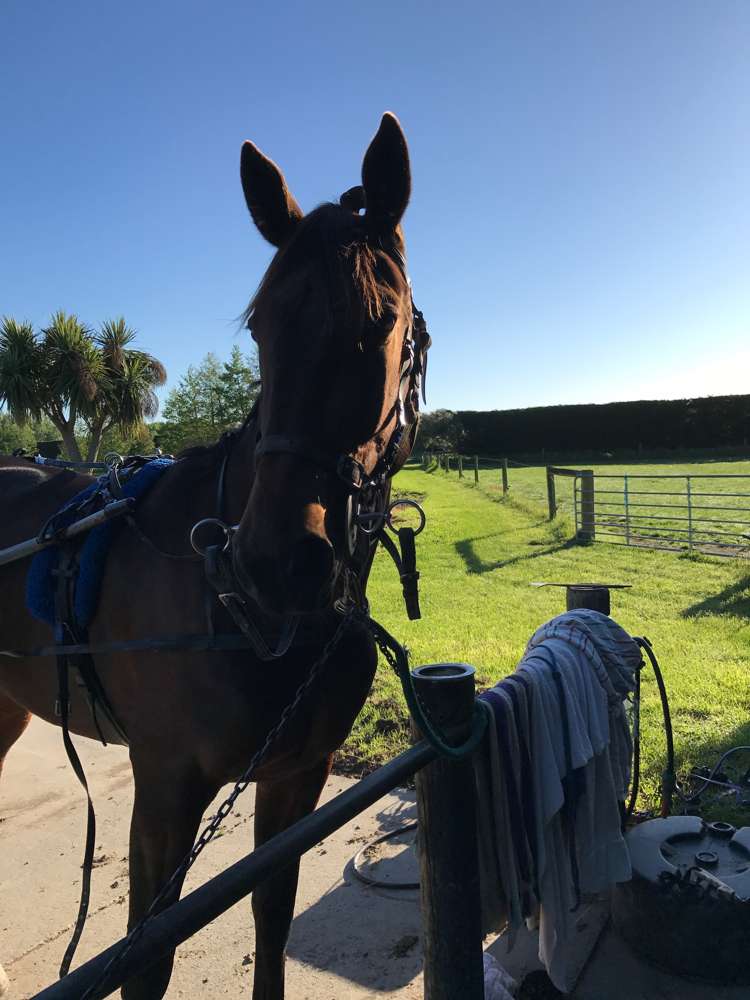 66 Coldstream Road Rangiora_21