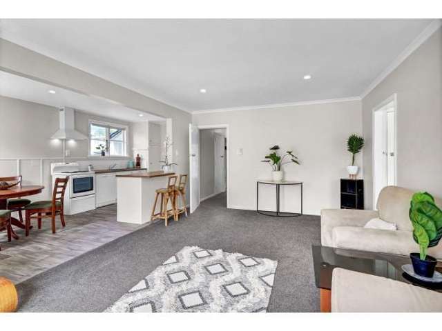 57 Jollie Street Linwood_1