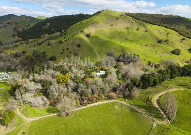 Country Homestead
