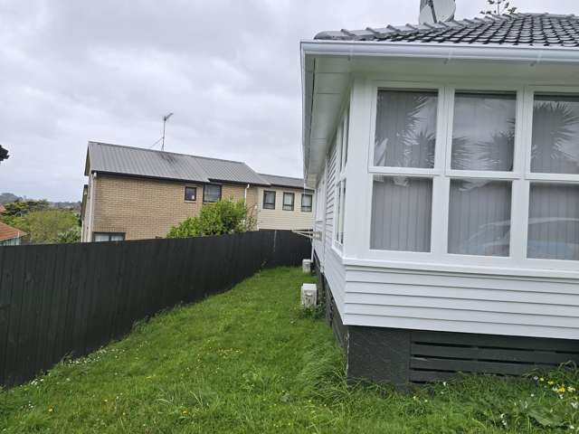 4 Welsh Street Mount Roskill_2