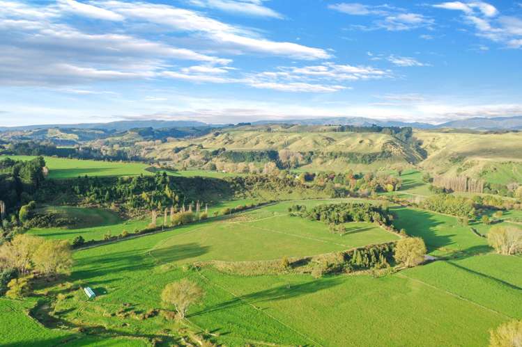 2732 Kimbolton Road Kimbolton_19