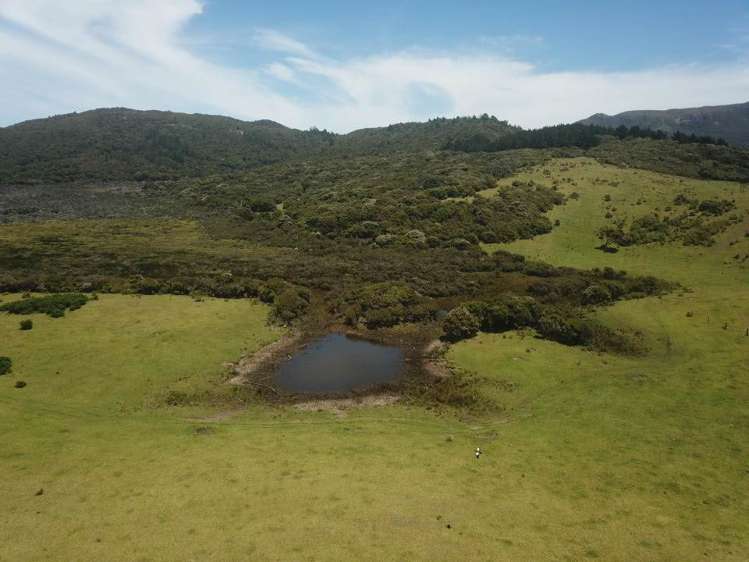 Lot 32 Kaitoke Lane Great Barrier Island_14