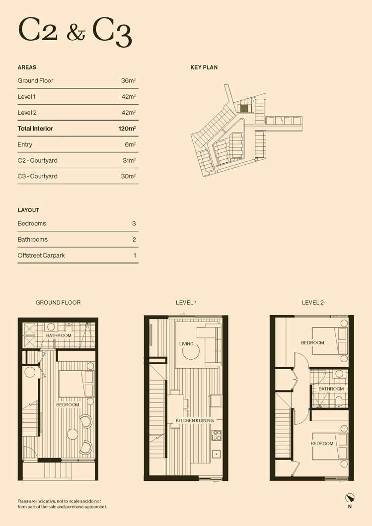 819 Riddell Road St Heliers_31